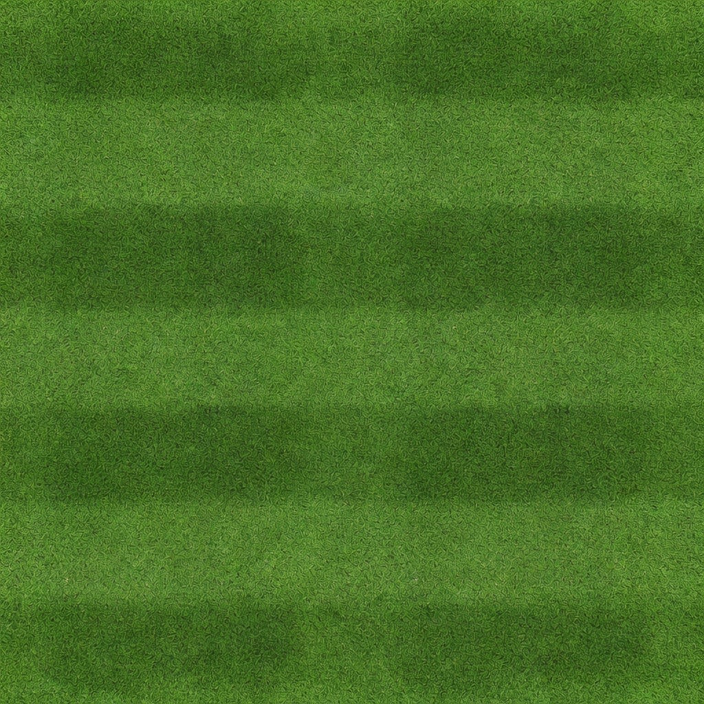 Football Pitch Grass