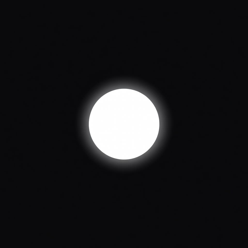 White Circle Ripple