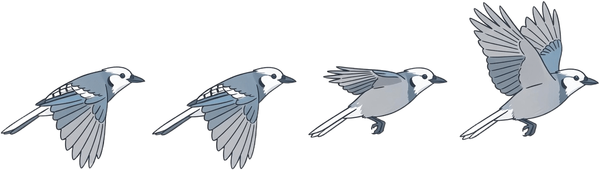 Silver Jay Wing Flap Spritesheet