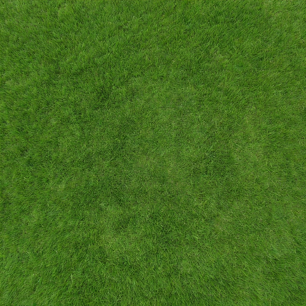 Grass Ground Texture