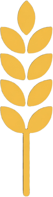 Icon Food