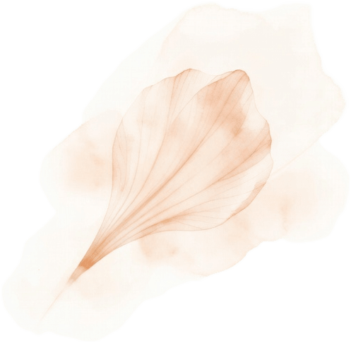 Petal Particle