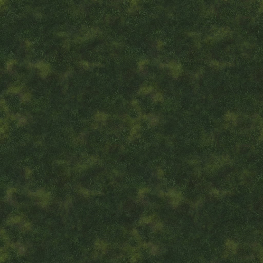 Forest Ground Grass Texture