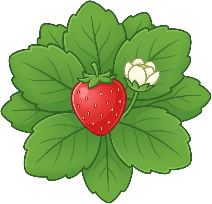 Strawberry Plant