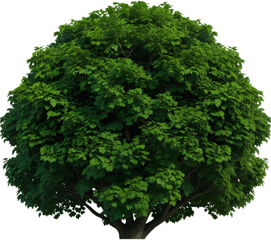 Leafy Tree Concept