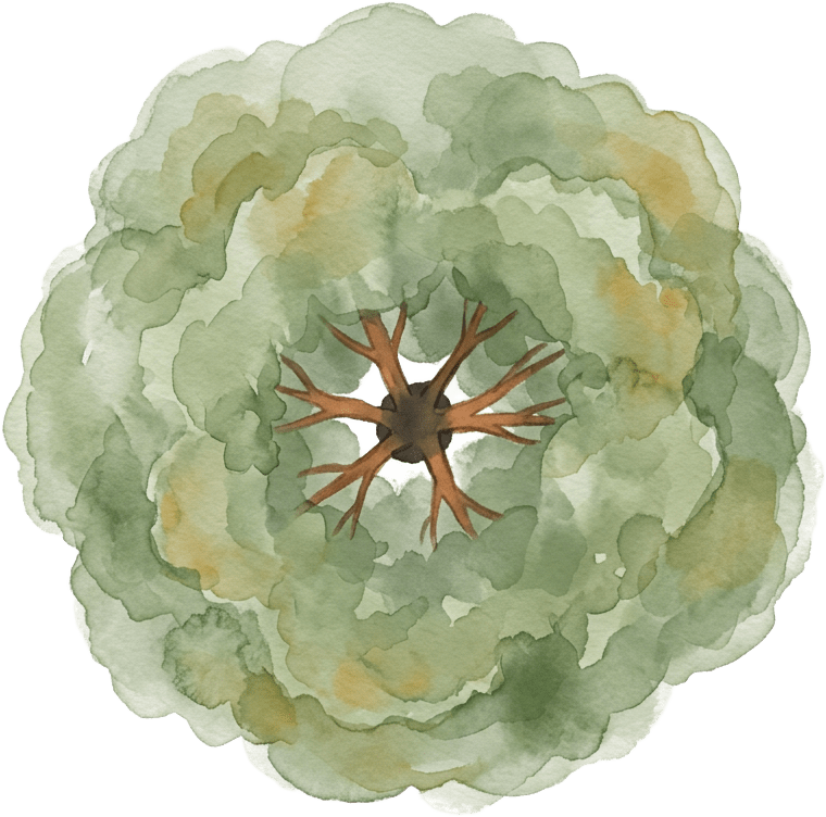 Tree (1 / 4)