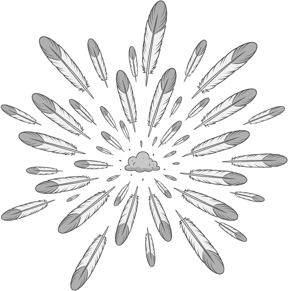 Feather Explosion