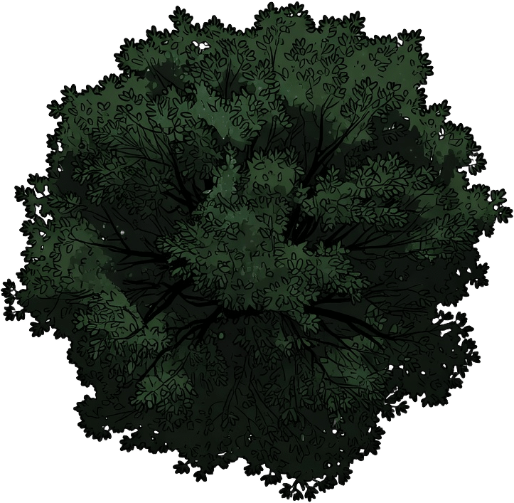 Suburban Tree Top-Down