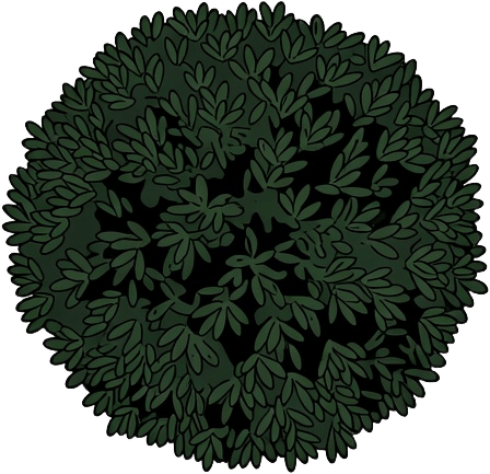 Suburban Bush Top-Down