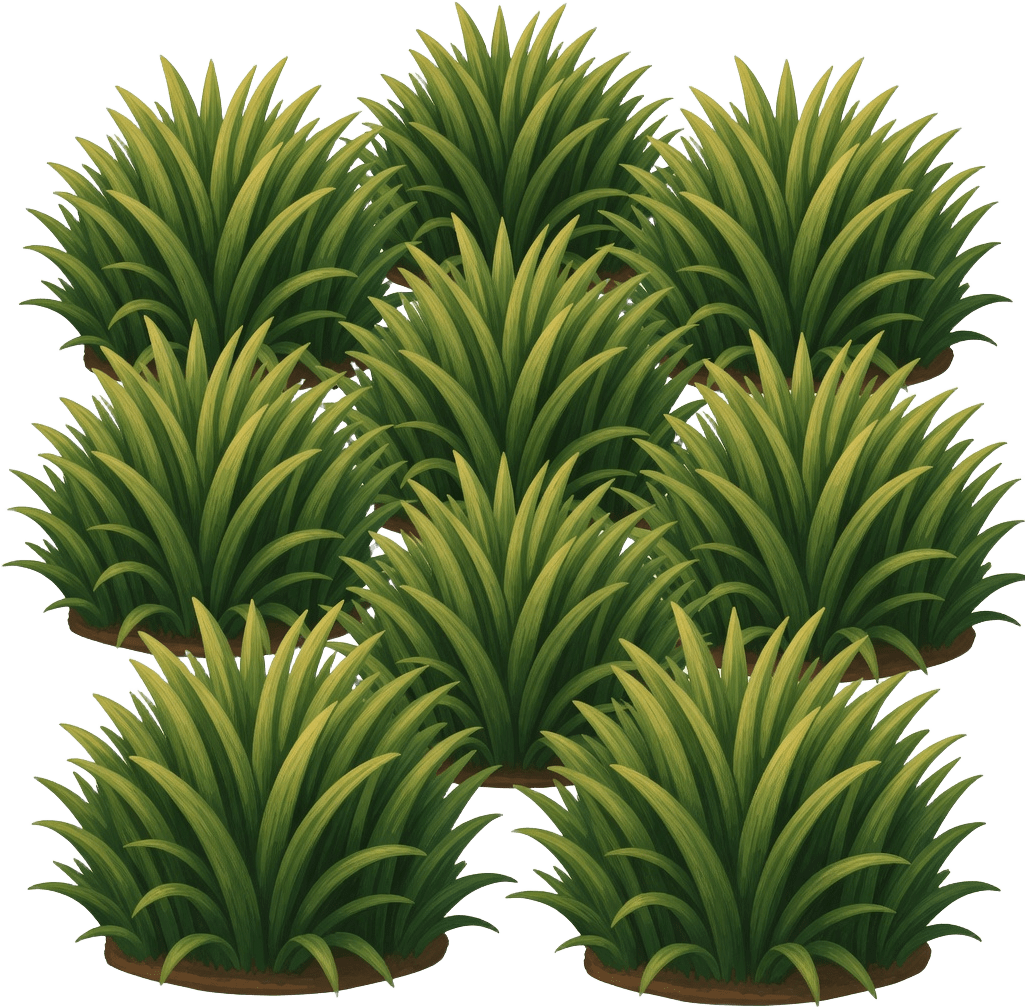 Grass Cluster