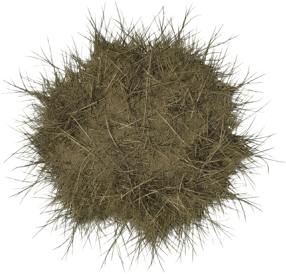 Dead Grass Top-Down (1 / 4)