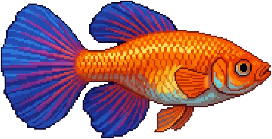 Guppy Fish (1 / 2)