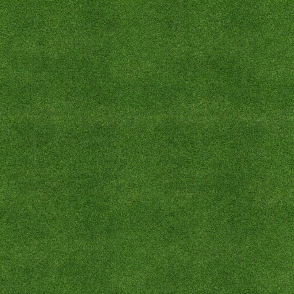 Grass Field Texture