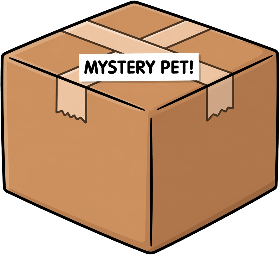 Cardboard Delivery Box
