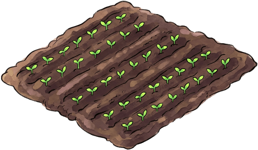 Field - Seeds Sown