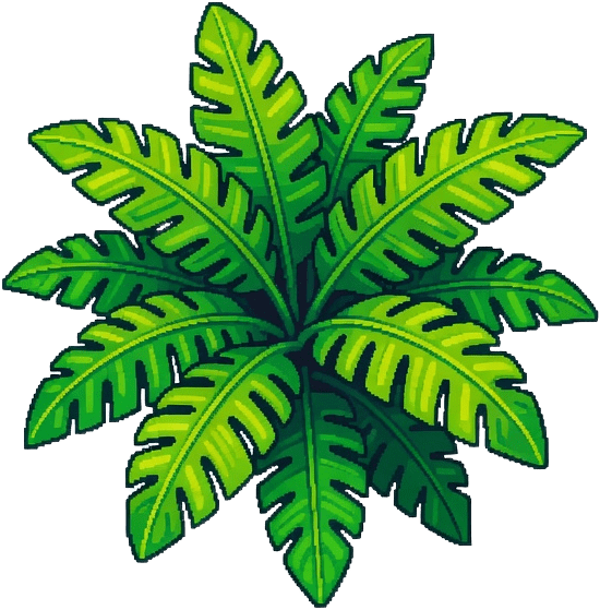 Tropical Fern Plant
