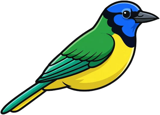 Green Jay