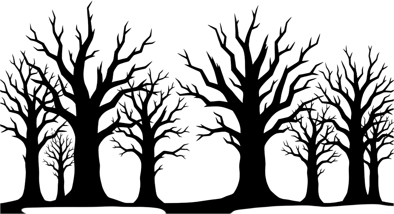 Forest Silhouettes - Mid Layer