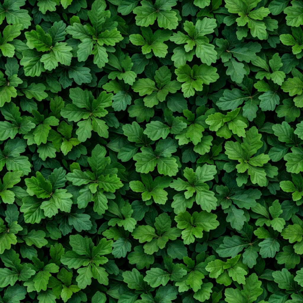 Broadleaf Foliage Texture