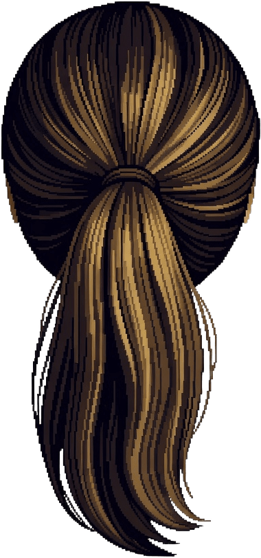 Hair Ponytail Front