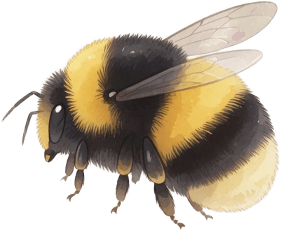 Bumblebee Side View (1 / 4)