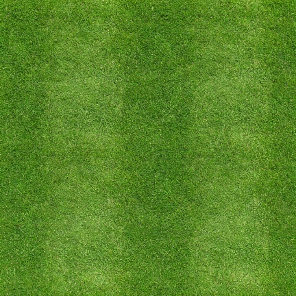 Lawn Grass Texture