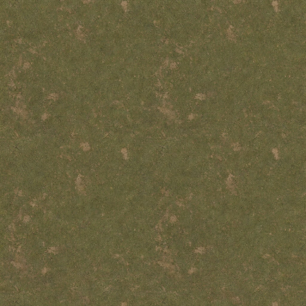 Grass Ground Texture