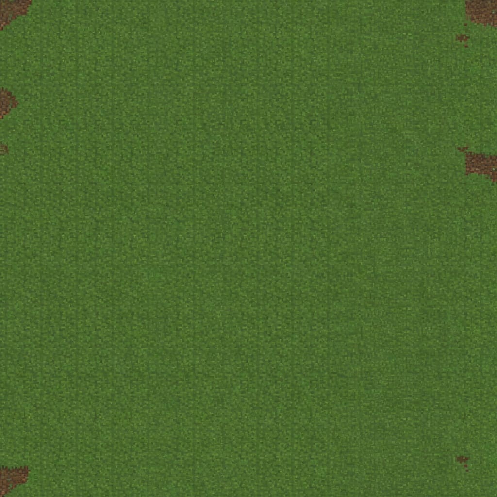 Grass Top Block Texture