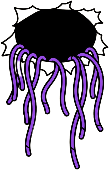 Wipe Frame 2