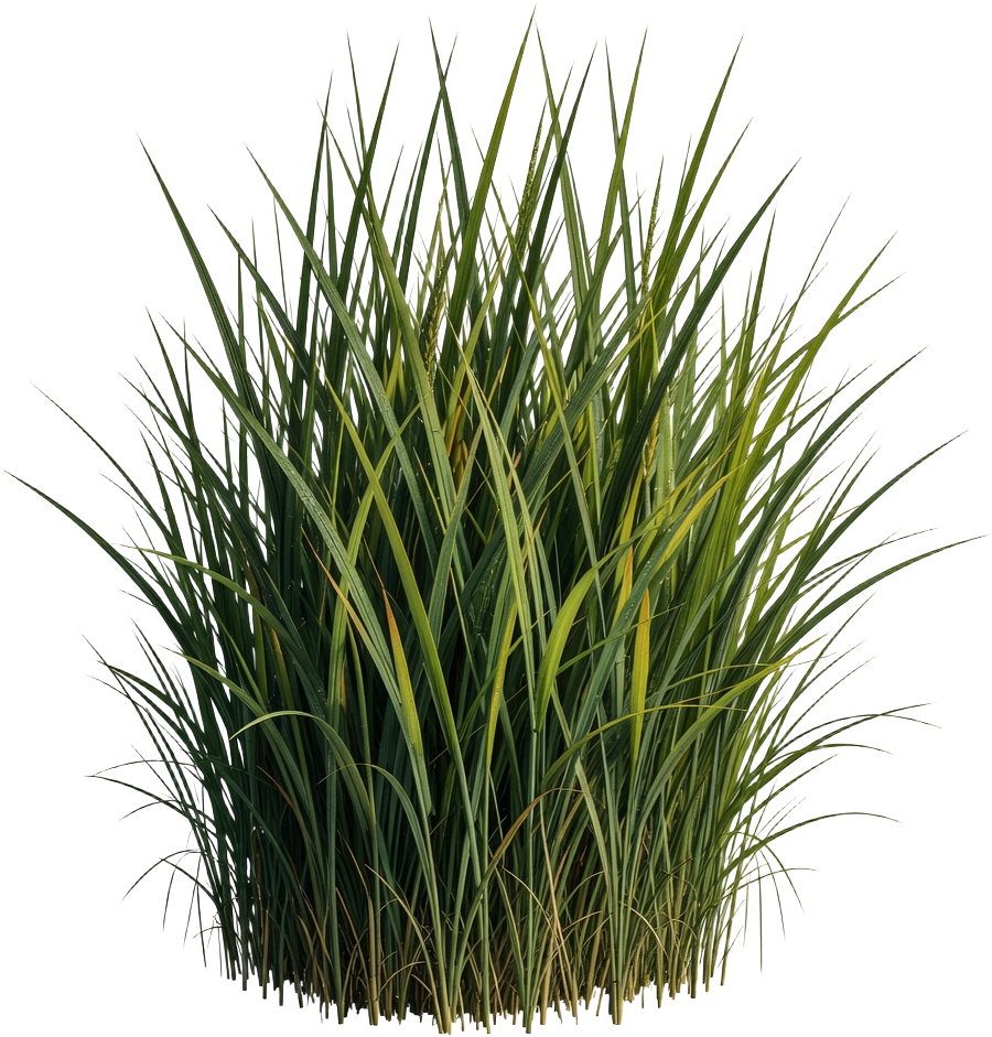 Tall Grass Clump Sprite