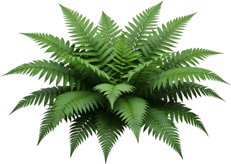 Forest Fern Sprite