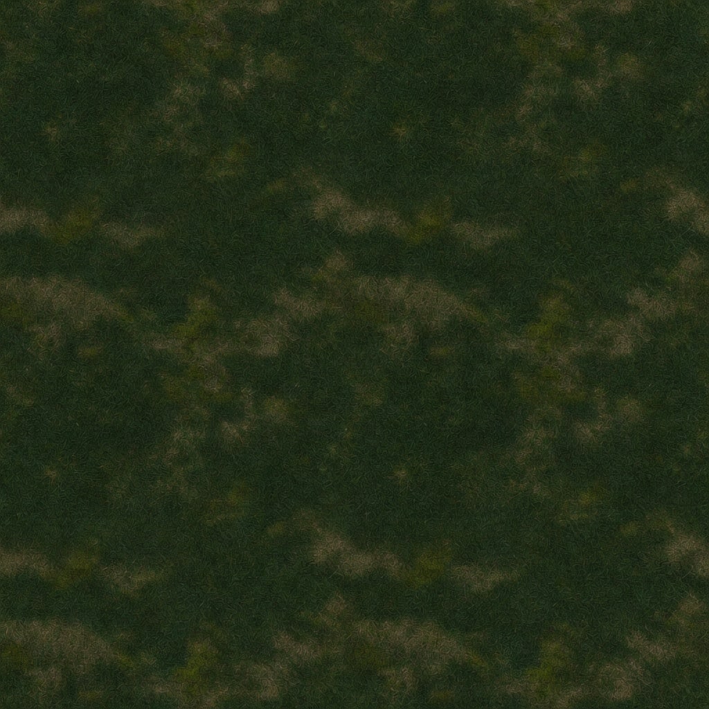 Grass lawn texture