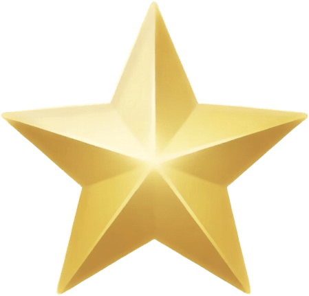 Star Icon - Filled