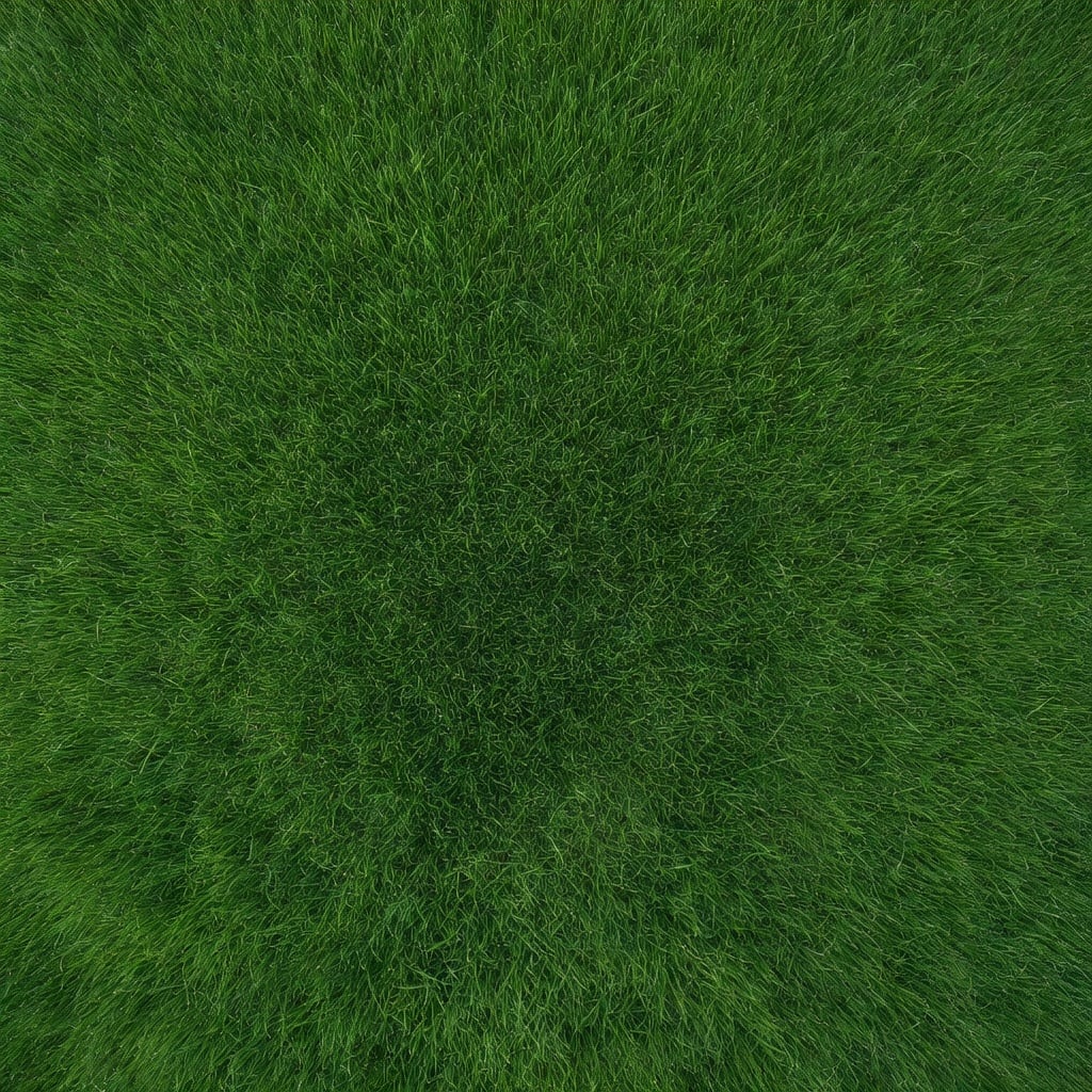 Grass Meadow Texture