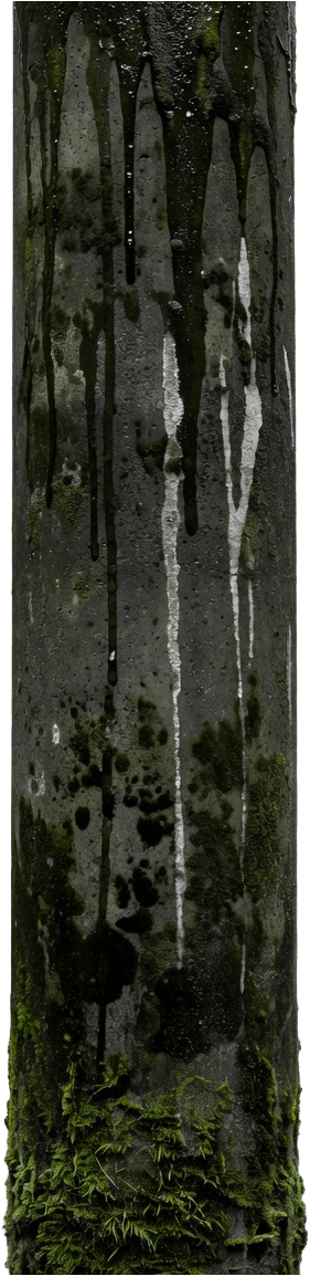 Sewer Pipe - Mold Moss Decay (4 / 4)