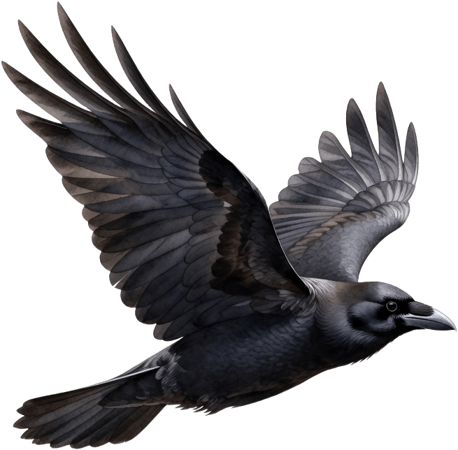 Crow Flying Sprite