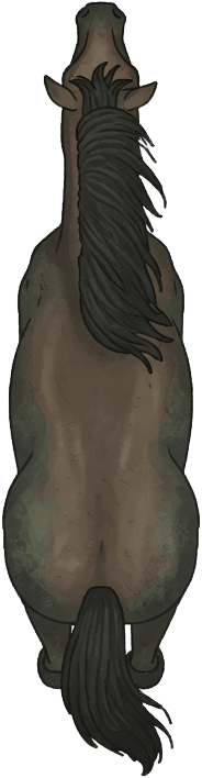 Horse Player Sprite - Top Down (1 / 2)