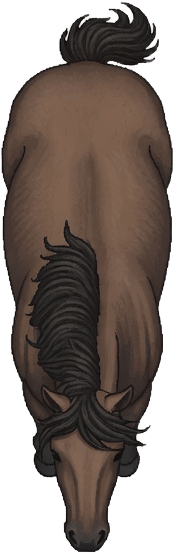 Horse Player Sprite - Top Down (2 / 2)