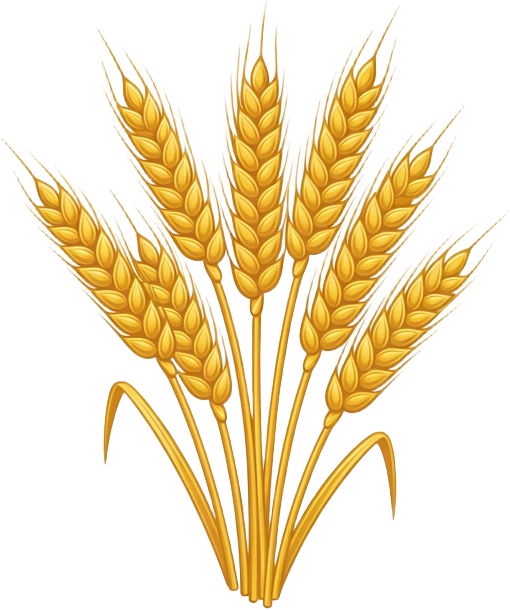 Ironhold Prop crop_wheat