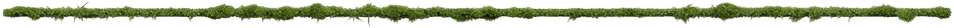 Moss Strip Horizontal HD