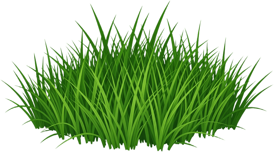 Grass Patch
