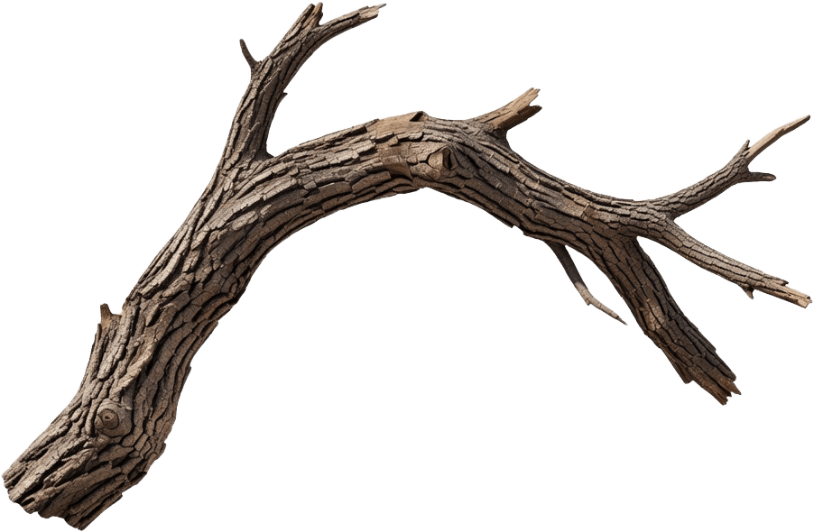 Branch Thick Bent