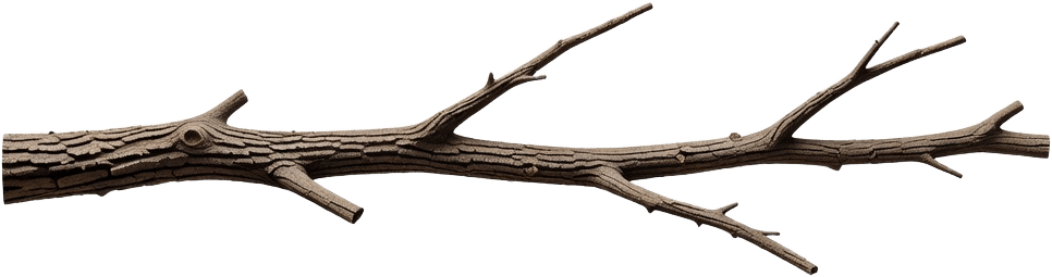 Branch Horizontal Limb