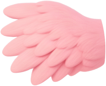 Emu Chick Wing