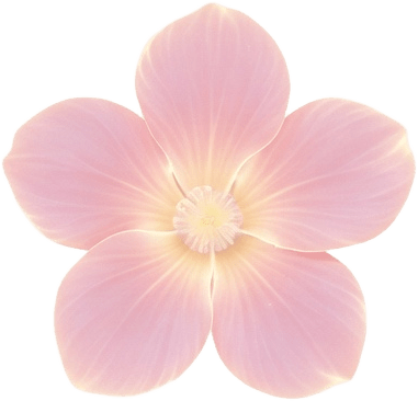 Match-3 piece Pink Flower Blossom