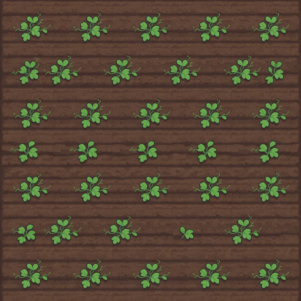 Watermelon Plot Growing Stage