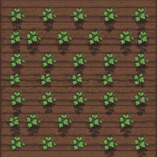 Watermelon Farm Plot