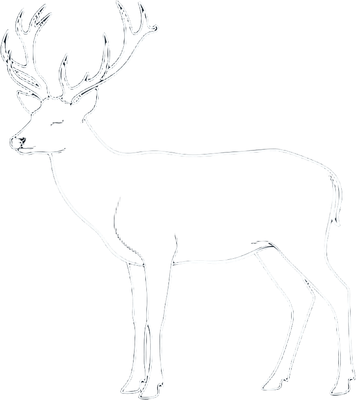 Deer X-ray silhouette sprite