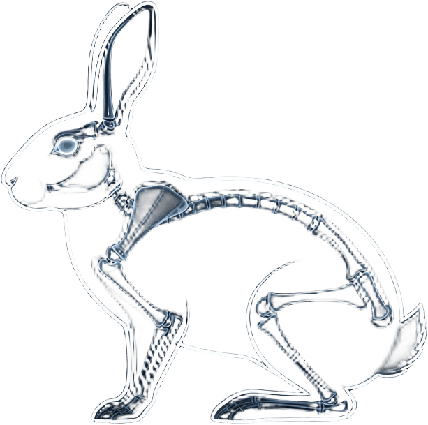 Rabbit X-ray silhouette sprite