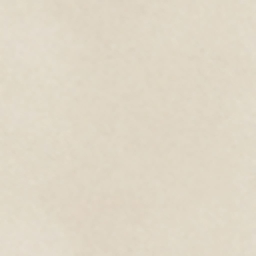 Interior Cream Plaster Wall